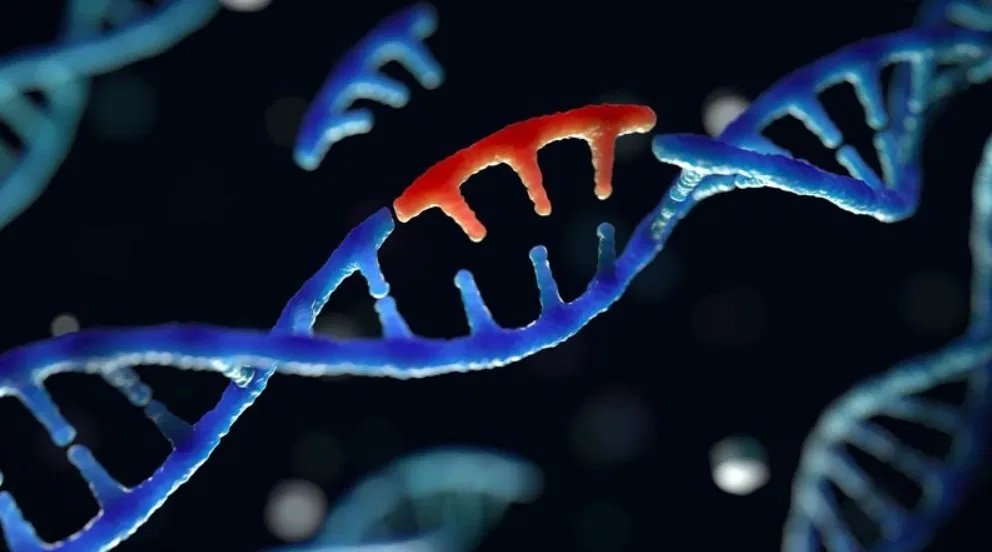 evolucioni gjenomik